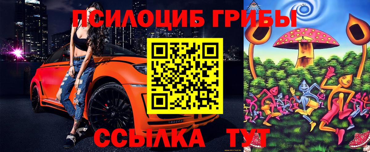 Псилоцибиновые грибы мухоморы Нарткала