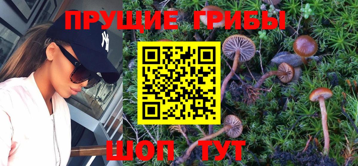 Нарткала  Галлюциногенные грибы MAGIC MUSHROOMS  закладки  Вход с VPN  Псилоцибиновые грибы мицелий 